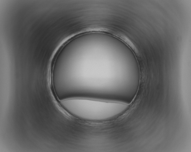 X0000110901132200906180941