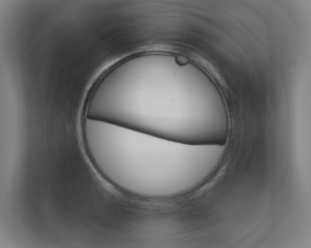 X0000110901133200906180941