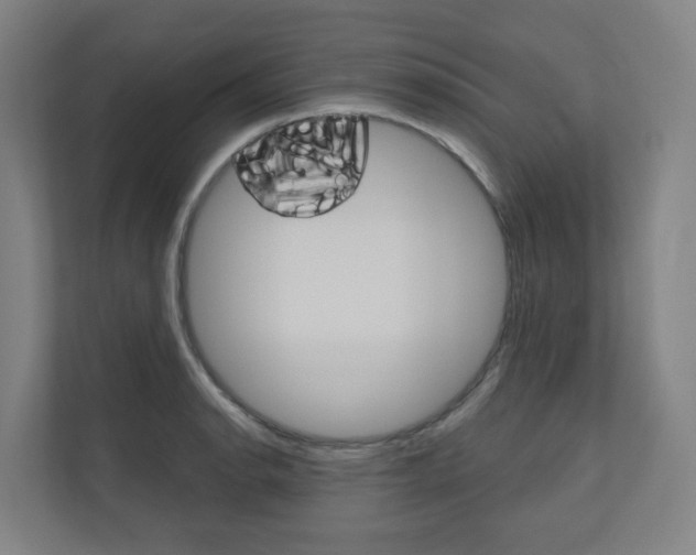 X0000110901134200906180941