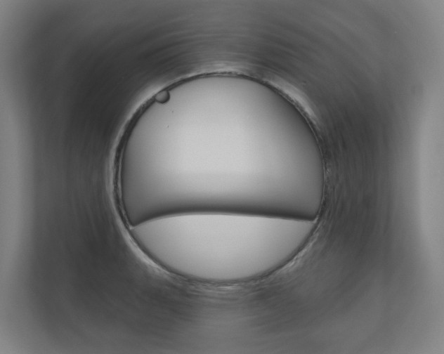 X0000110901135200906180941