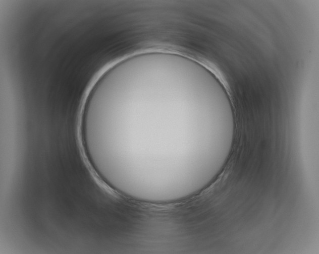 X0000110901136200906180941