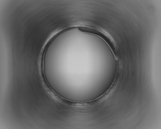 X0000110901138200906180941