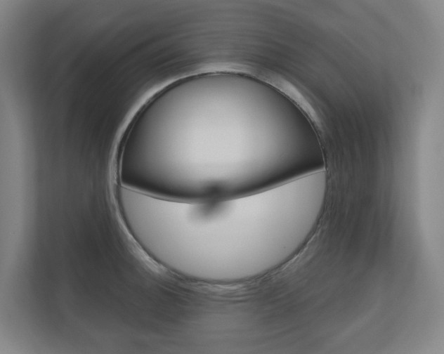 X0000110901140200906180941