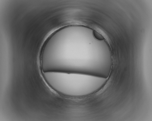 X0000110901141200906180941