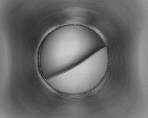 X0000110901142200906180941