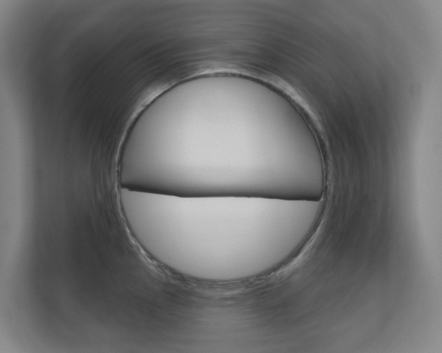 X0000110901145200906180941