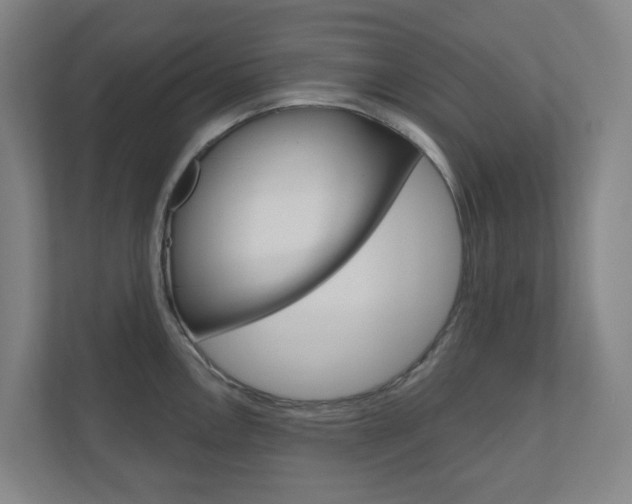 X0000110901146200906180941