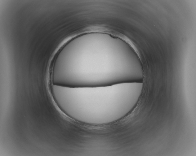 X0000110901147200906180941