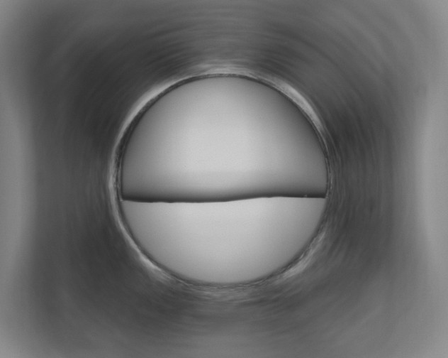 X0000110901149200906180941