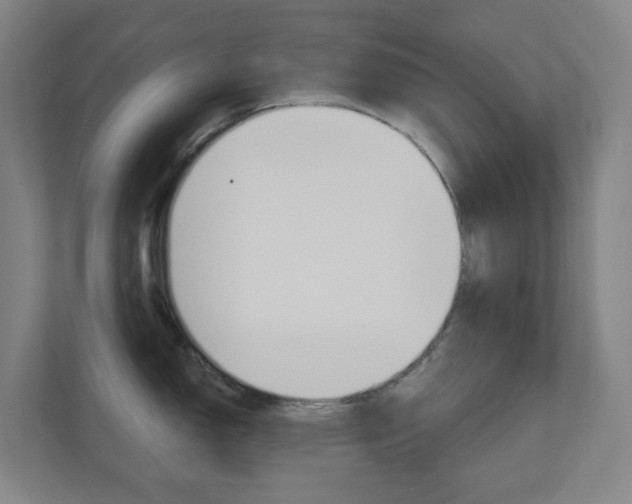 X0000110901150200906180941
