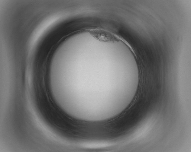 X0000110901151200906180941