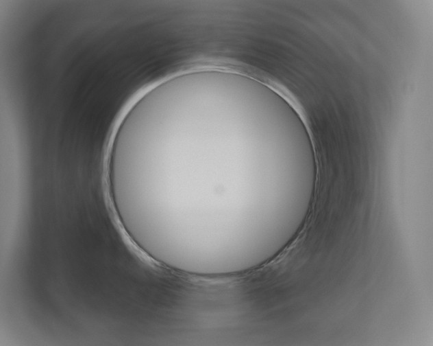 X0000110901152200906180941