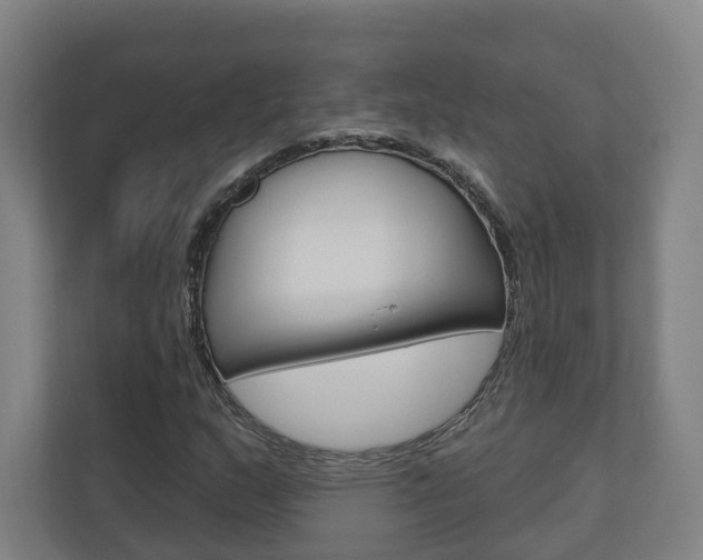 X0000110901159200906180940