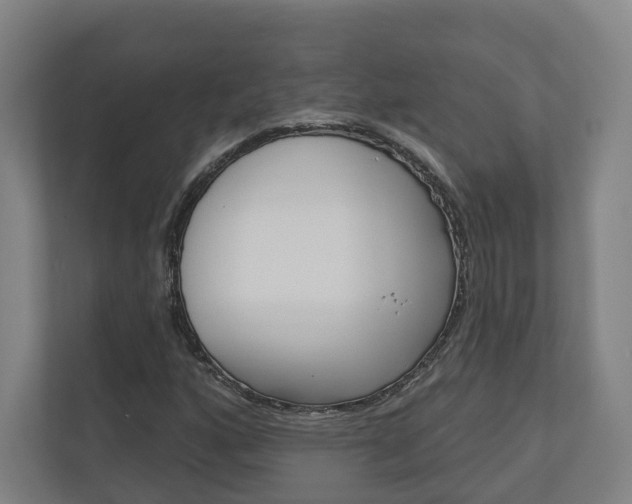 X0000110901160200906180940