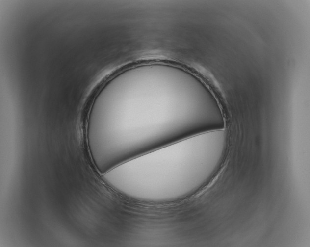 X0000110901167200906180940