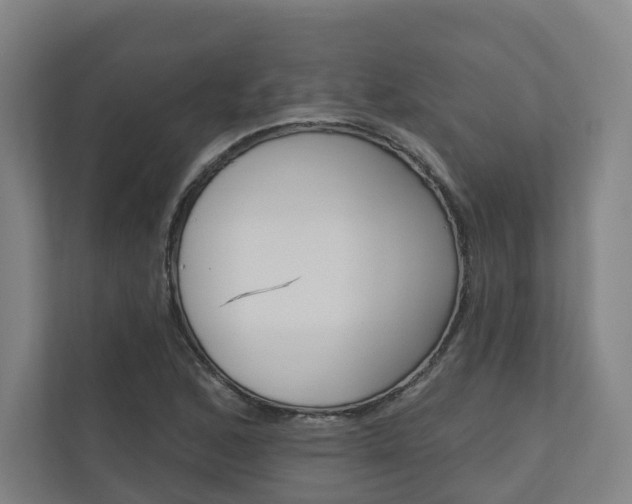 X0000110901168200906180940