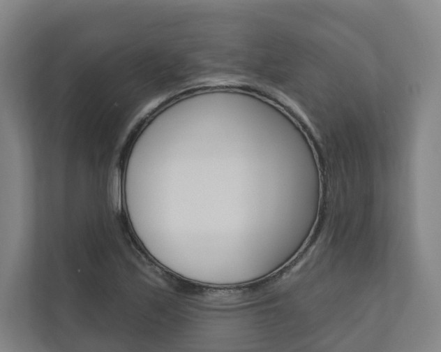 X0000110901171200906180940