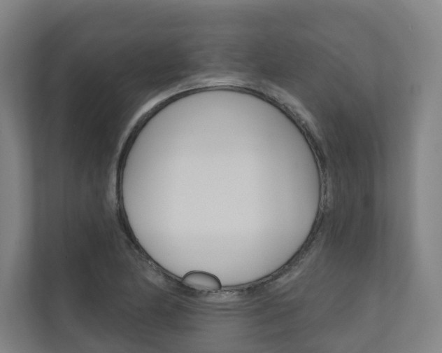X0000110901174200906180940