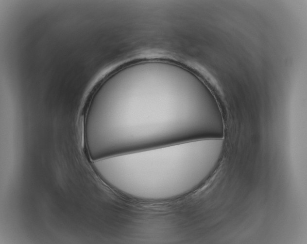X0000110901175200906180940