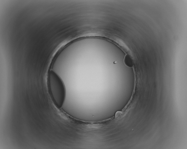 X0000110901181200906180940