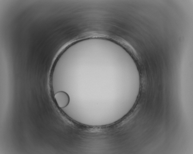 X0000110901182200906180940