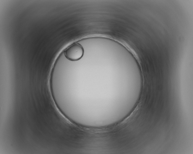 X0000110901189200906180940
