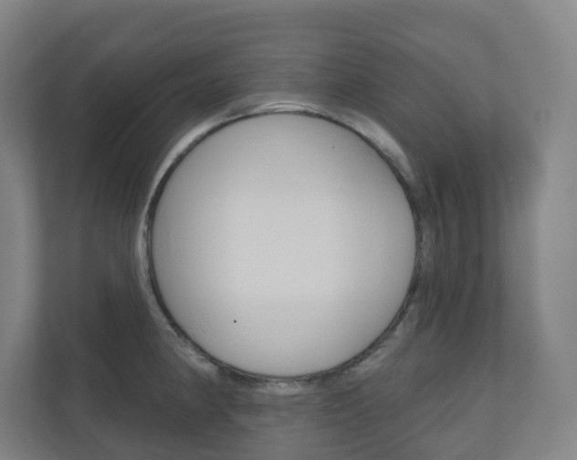 X0000110901190200906180940