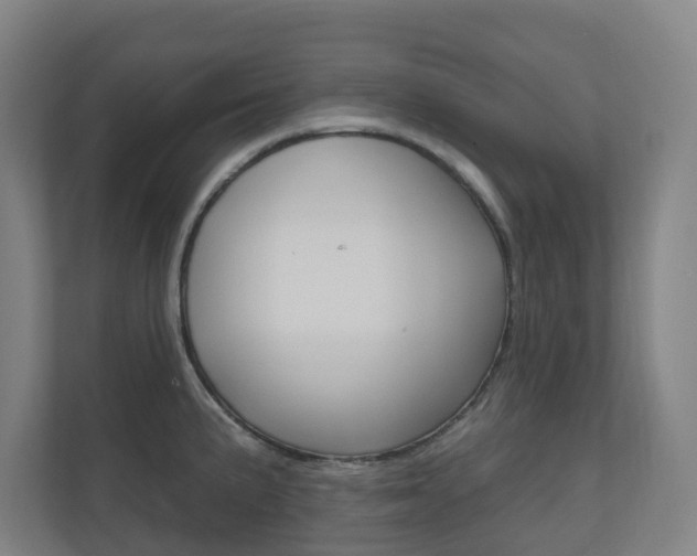 X0000110901191200906180940