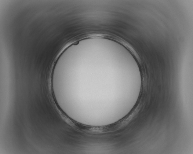 X0000110901194200906180940