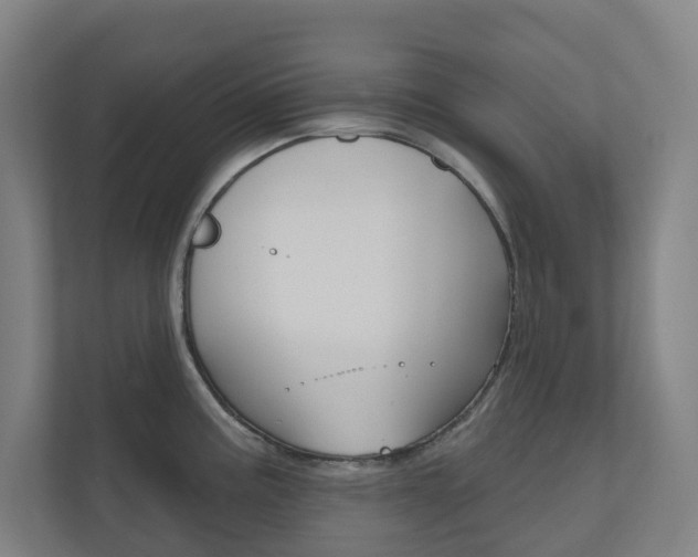 X0000110901195200906180940