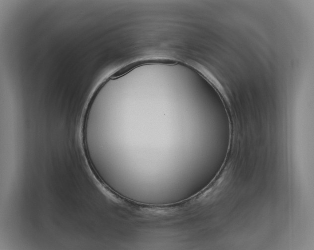 X0000110901197200906180940