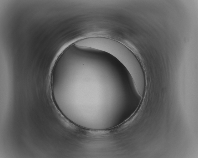 X0000110901200200906180940