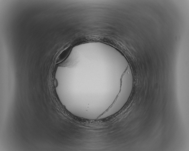 X0000110901201200906180939