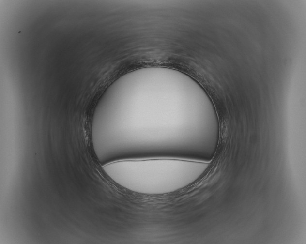 X0000110901202200906180939