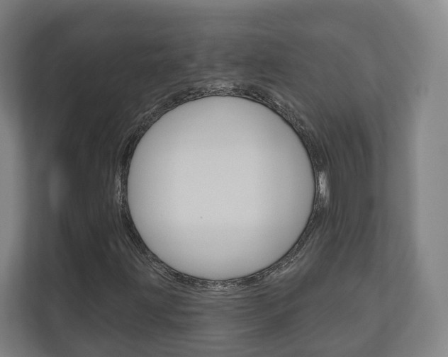 X0000110901203200906180939