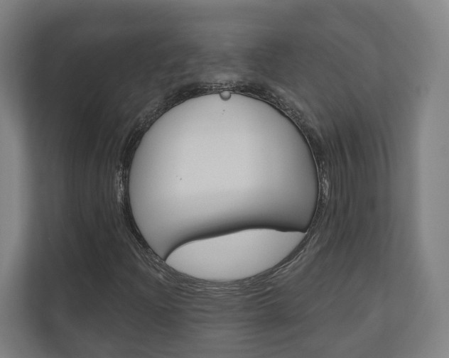 X0000110901204200906180939