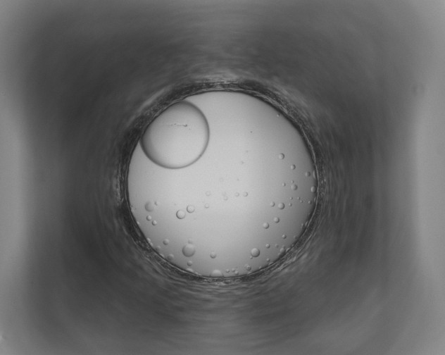 X0000110901205200906180939