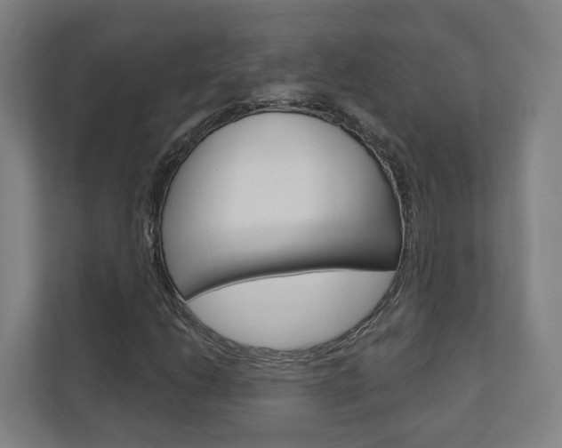 X0000110901206200906180939
