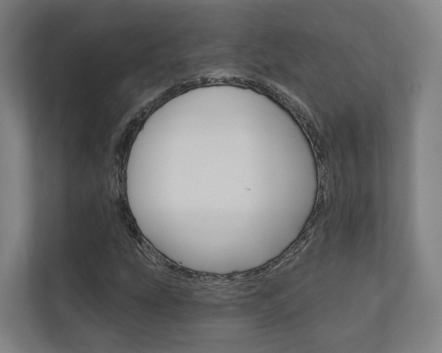 X0000110901207200906180939