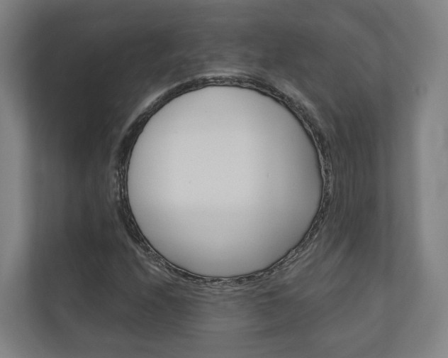 X0000110901208200906180939