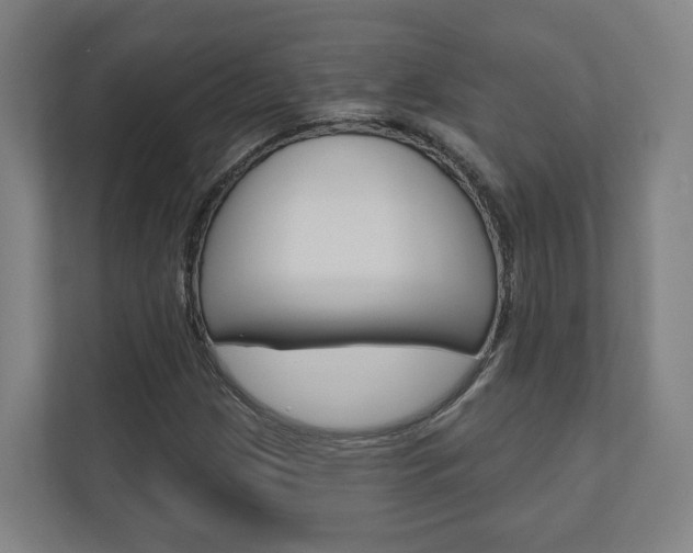 X0000110901209200906180939