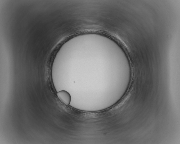 X0000110901211200906180939