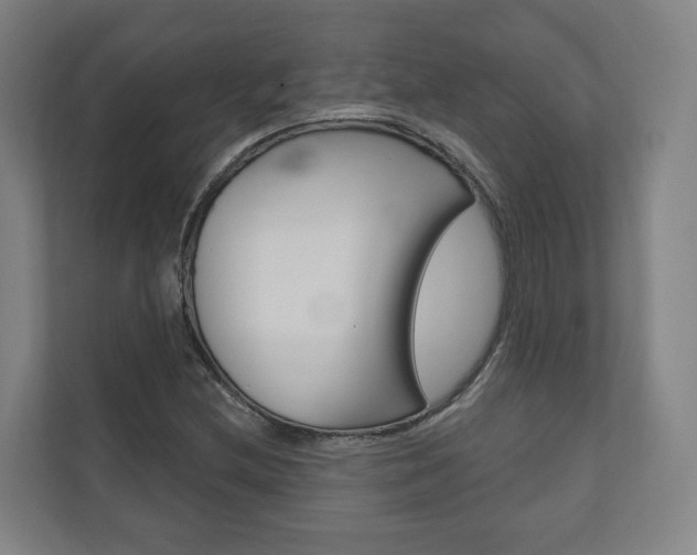 X0000110901212200906180939