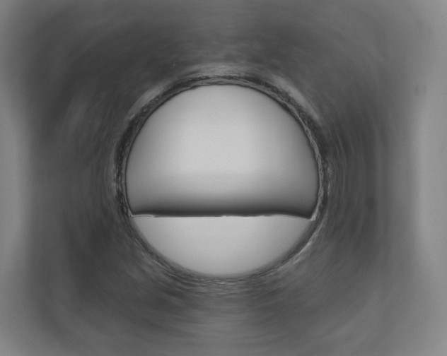 X0000110901213200906180939
