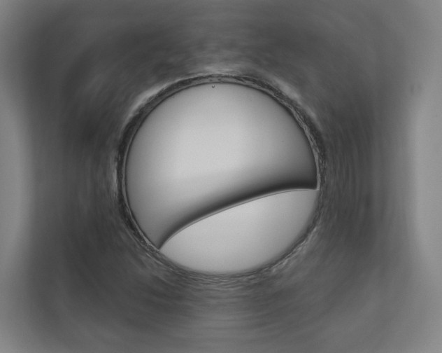 X0000110901214200906180939