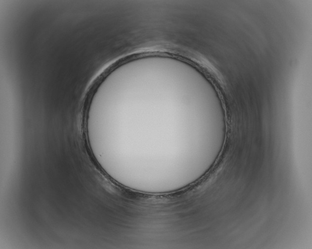 X0000110901216200906180939
