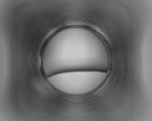 X0000110901221200906180939