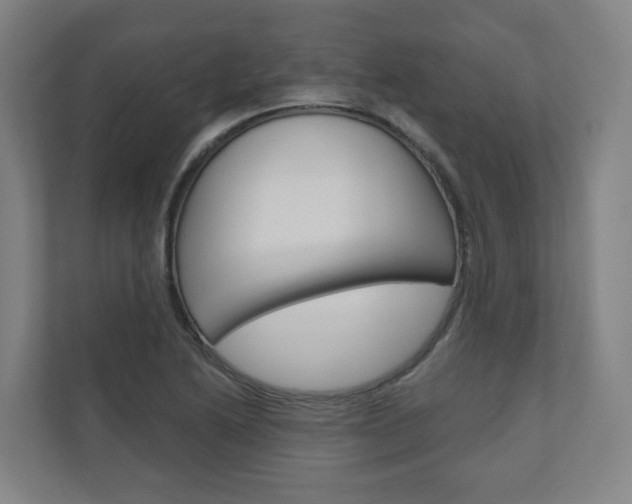 X0000110901222200906180939