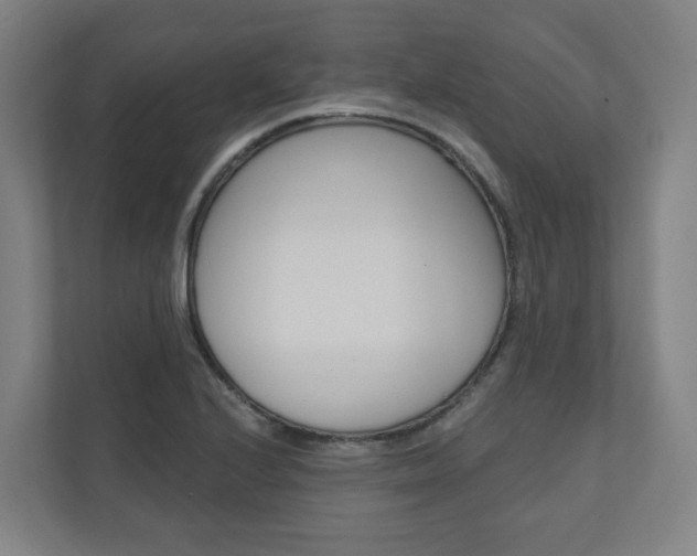X0000110901224200906180939
