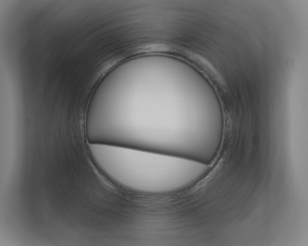 X0000110901225200906180939